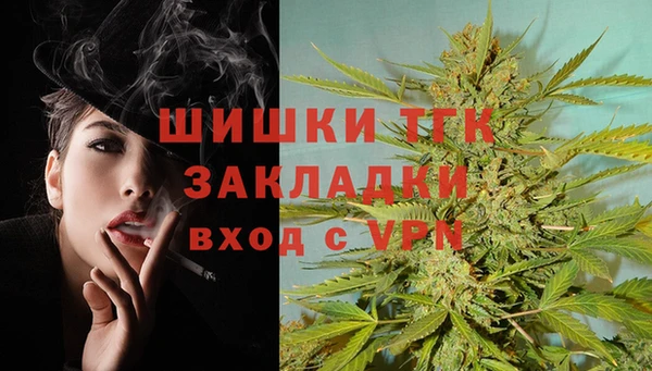 PSILOCYBIN Балабаново