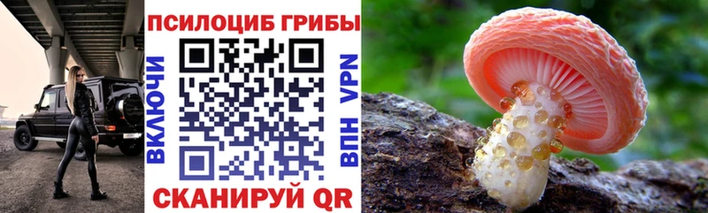 Псилоцибиновые грибы мицелий  Губаха 