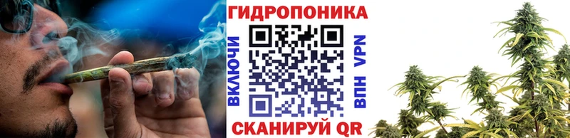 Марихуана гибрид  Губаха 